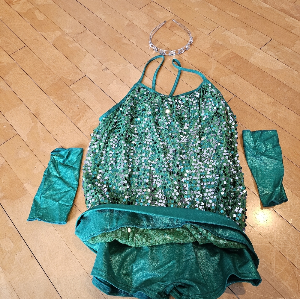 Ice skating dress/costme